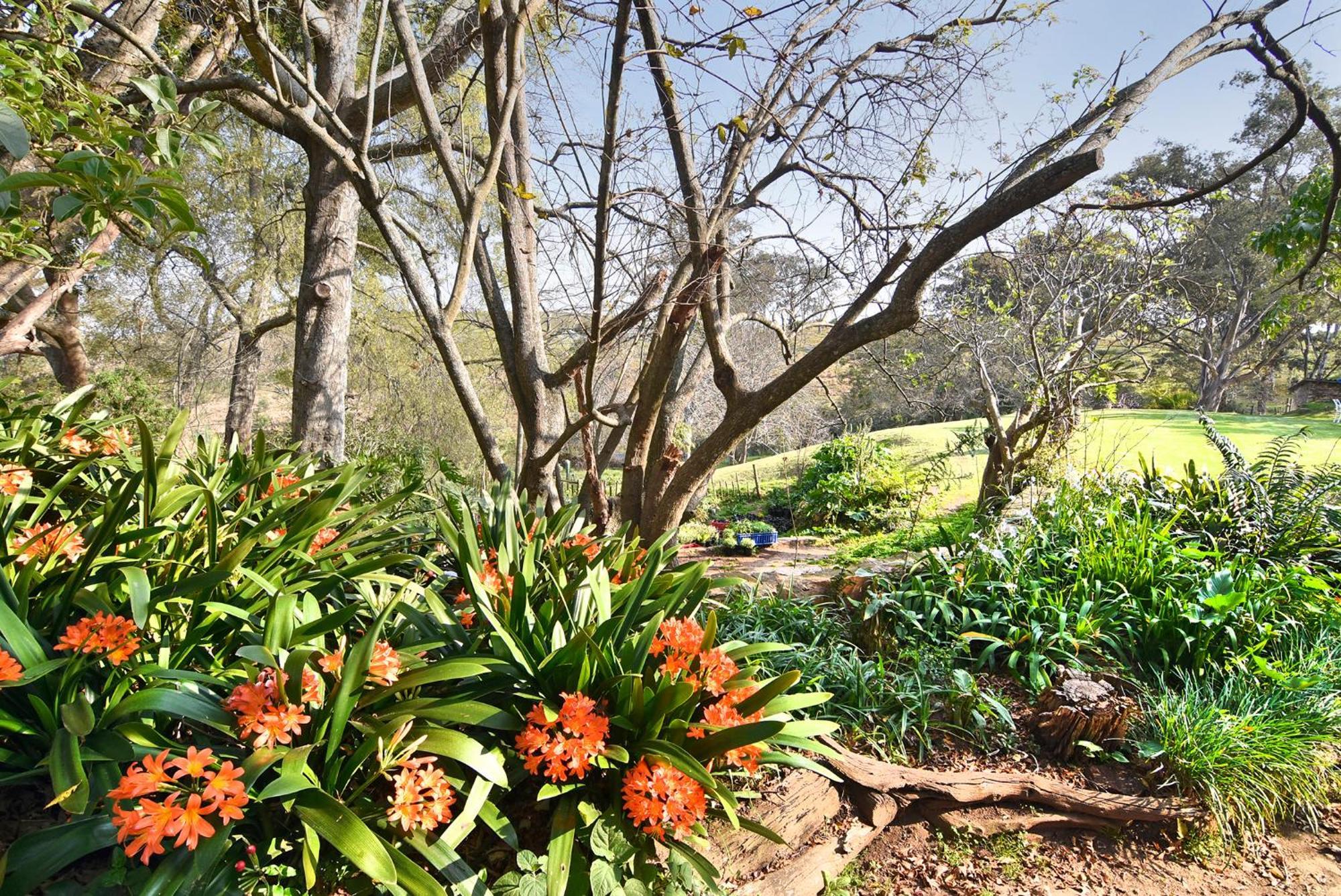 Zuurberg Mountain Village Addo Exteriör bild